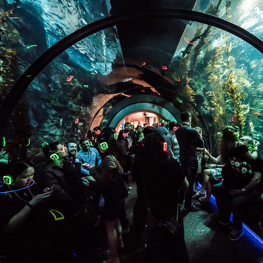 Quiet Events Silent Disco headphones for museums.  A group of people underneath a tunnel at an aquarium wearing headphones.